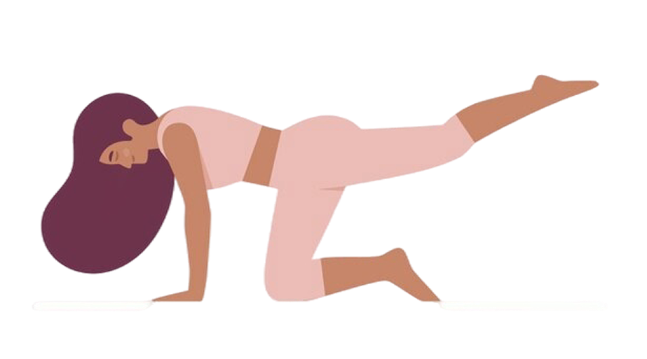 필라테스 이미지